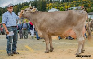 Miss Genetic OB Jrg Janka - Roos Walter